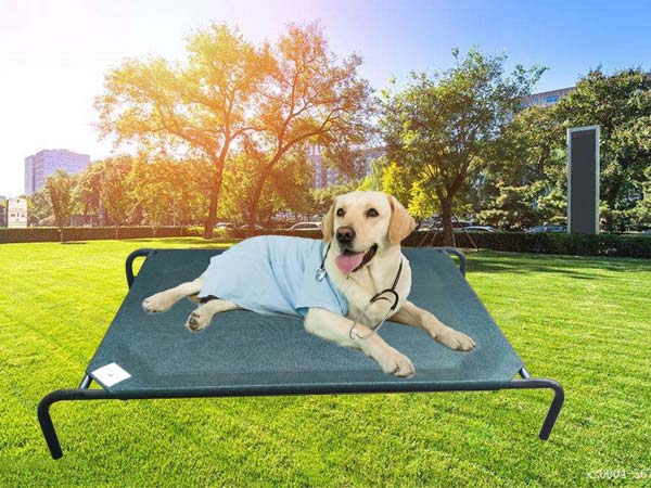 2024 Hot selling Products in Amazon Ebay Tiktok Knitted HDPE Rectangle Pet Bed