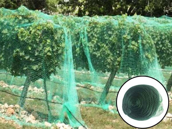 Chinese Factory High Quality Dark Green HDPE Anti bird netting for Vineyard
