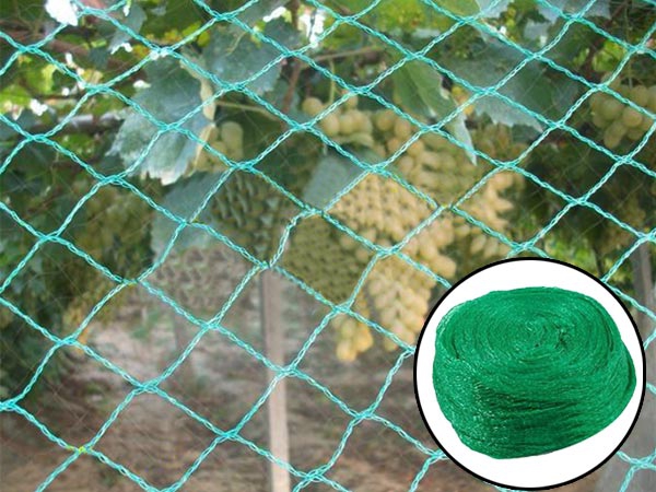 Custom/wholesale High Strength Knitting Anti-bird Mesh Orchard Protection Net
