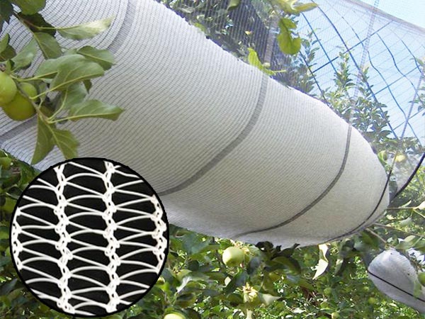2024 New Design Custom Size agricultural anti hail net for orchard