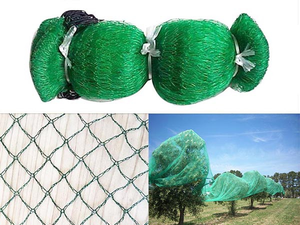 Custom Size 20-40gsm Agricultural birding Netting for Farm