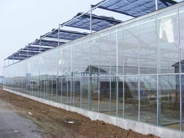 2024 Hot Selling 60-80 gsm black sun shade net for greenhouse