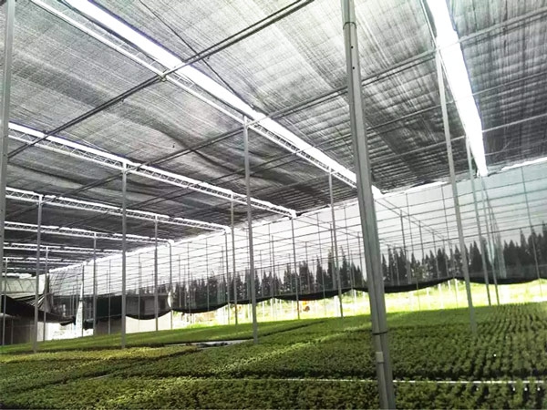 Wholesale Low Price 45gsm black sun shade net Roll for agriculture