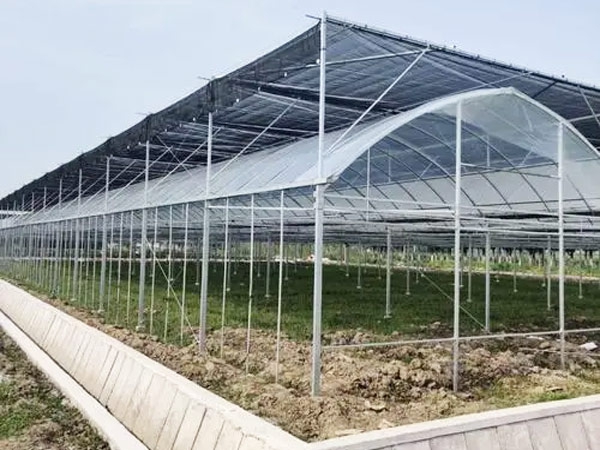 Wholesale Low Price 45gsm black sun shade net Roll for agriculture