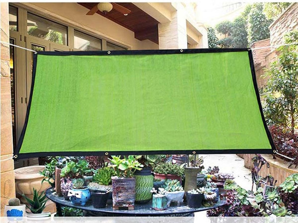 2023 Custom 50-75gsm green Sun shade net for Agriculture