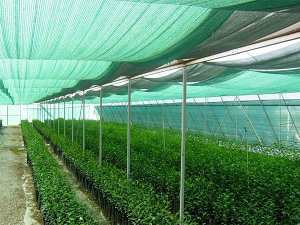 Custom New Design 100% HDPE 70-90gsm sunshade net with different colors