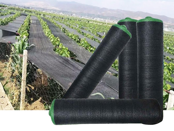 New Agricultural Facilities Greenhouse Sun Shade Nets 100% Virgin HDPE
